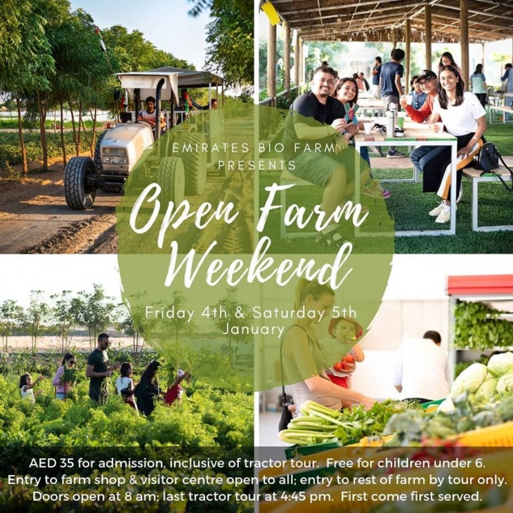 Open Farm Days @ Emirates Bio Farm Open Farm Days @ Emirates Bio Farm