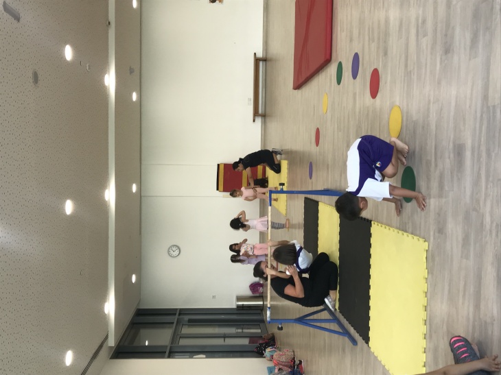 Sunmarke School Gymnastics Sunmarke School Gymnastics