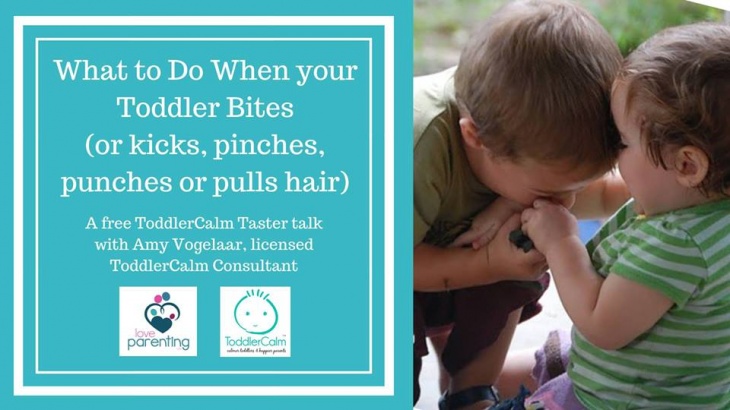 What to do when your Toddler Bites What to do when your Toddler Bites